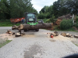 Log Grabs 3