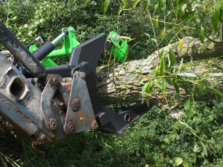 Log Grabs 8