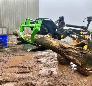 Log Grabs 7