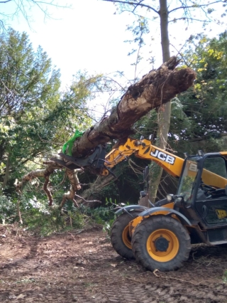 Log Grabs