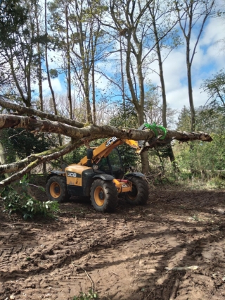 Log Grabs 13