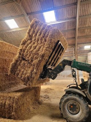 Bale Spikes 0